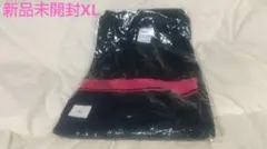 新品 未開封 SKE48 2011全国ツアー Tシャツ Zepp大阪 XLサイズ