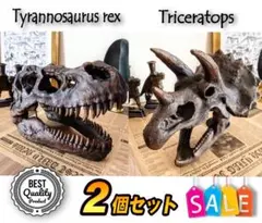 ✨お得なセット✨ ティラノサウルス トリケラトプス 化石 ジュラシック