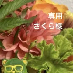さくら様 リクエスト 3点 まとめ商品