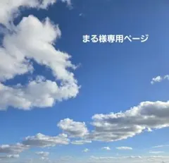 まる様専用·͜·♡‬【紫陽花アナベルのドライフラワースワッグ】