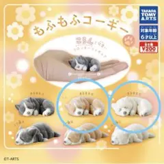 もふもふコーギー フィギュア