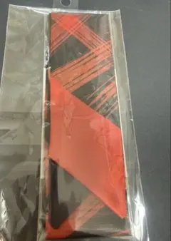 ヒロアカ　爆豪勝己　ロングクロス　雄英高校オープンスクール