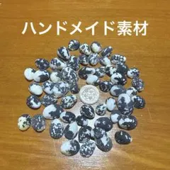 貝殻セット ハンドメイド素材 小さめサイズ 白黒 貝標本