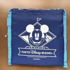 東京ディズニーリゾート エコバッグ