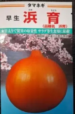 うらら様 リクエスト 3点 まとめ商品