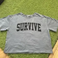 Item thumbnail for item a9c83195-65d6-442a-9d09-d5d09bf19448