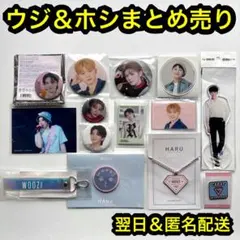 seventeen バパケ　ウジ　ホシ　ミニピケット　缶バッジ　エキシビジョン