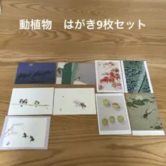 Item thumbnail for item 93ebb453-6dfe-48a5-9a82-aacdcea874d7