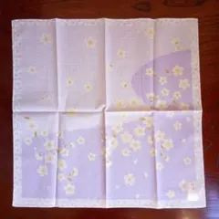 Item thumbnail for item 0300ddfa-b27b-4ee2-987f-1116e7b68c47