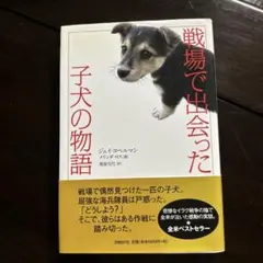 Item thumbnail for item aeb37973-5ba9-4a97-bd84-d76395ac0759