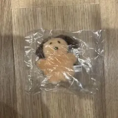 mojojojoぬいぐるみマスコット ガチャガチャ