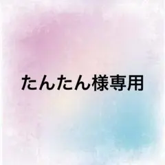 たんたん様専用ページ