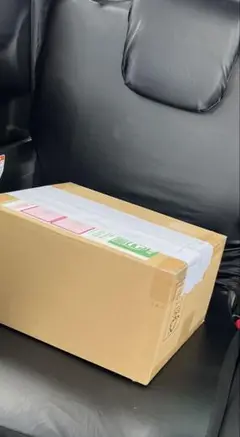 私のNIKOに捧ぐ（ニンテンドースイッチ）