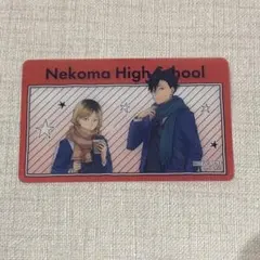 ハイキュー コスモワールド 黒尾鉄朗 孤爪研磨 音駒 クリアカード 特典