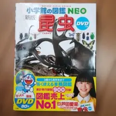 DVD付属 小学館の図鑑NEO 新版 昆虫