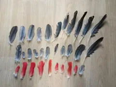 Item thumbnail for item 3dbfba33-4f3a-45a0-a7de-d9476747cf7a