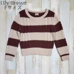 5【美品】リリーブラウン デートにもおすすめのケーブル編みニット