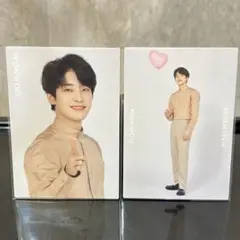 seventeen ウォヌ トレカ　japan dome tour 2020