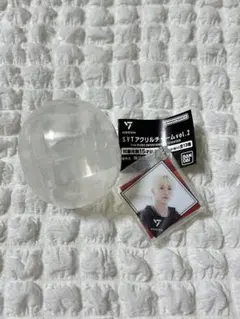 SVTアクリルチャームvol.2 スングァン