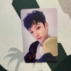 StrayKids SKZ IN生 subk 特典 トレカ バンチャン