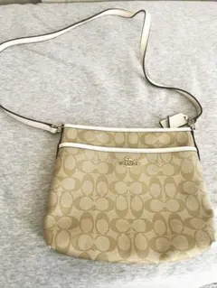 Item thumbnail for item 18593600-f4cb-4f38-a515-0a2093e81783