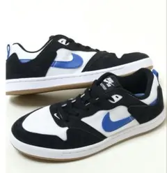 NIKE SB スニーカー ナイキ アリウープ 大きいサイズ 希少サイズ