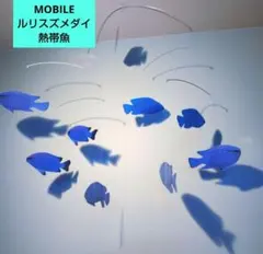 Item thumbnail for item 46fb0715-ff75-4538-a3b3-b2e197b4f623