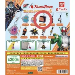仮面ライダー めじるしアクセサリー5 闇菓子