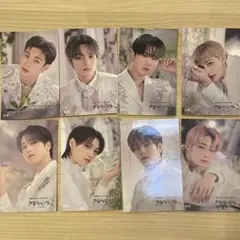 straykids maniac オンラインくじ　E賞ステッカー　コンプ