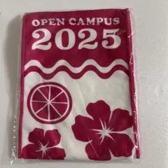 2026年最新】中央大学 タオルの人気アイテム - メルカリ