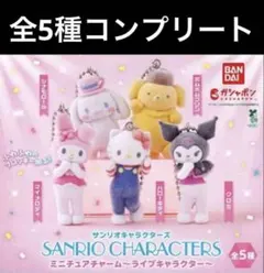 サンリオキャラクターズミニチュアチャーム　ライブキャラクターガチャ　コンプリート