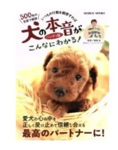 Item thumbnail for item 6c7fc907-b3da-4c5c-a2dd-43d1d06bcd1e