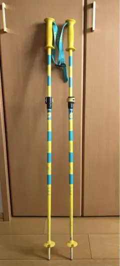 Item thumbnail for item 5169da8f-5fef-4bab-94fe-9a412f837304