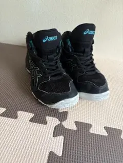 Item thumbnail for item e9390000-00ca-4f42-b421-264906cb0a3e