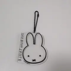 Item thumbnail for item 0375f27e-5870-4a1a-8b8b-eba2031245c1