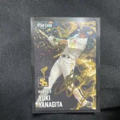 プロ野球チップス　柳田悠岐　スターカード　サイン入り