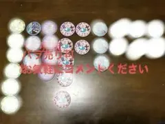 ディズニー刺繍缶バッジ