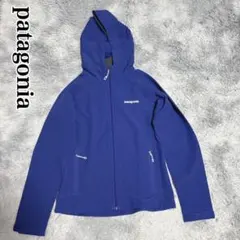 patagonia Simple Guide Hoody パタゴニア ジャケット