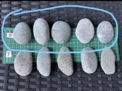 mahalonui様 リクエスト 2点 まとめ商品