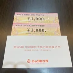 ビッグカメラ　株主優待券