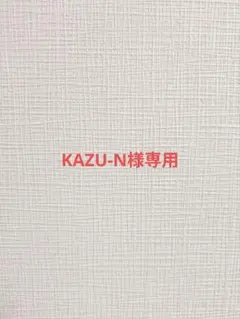 KAZU-N様専用