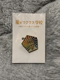 嵐　ワクワク学校　ピンバッジ