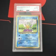 2026年最新】ゼニガメ psa10の人気アイテム - メルカリ