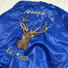 Item thumbnail for item c5323d84-b23a-4ef4-89d3-6c3a9b85b5dd