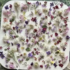 No,014 特小小花ミックス　ドライフラワー花材