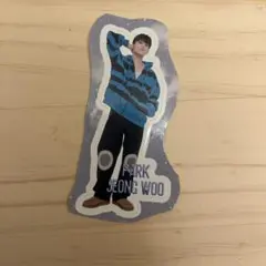 Treasure ジョンウ　ステッカー　vivi