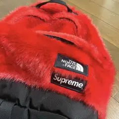 SUPREME THE NORTH FACE daypack