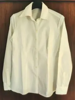 レディース ブラウス ストライプ柄入り 長袖シャツ 11号