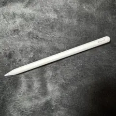 Apple Pencil 第二世代 A2051