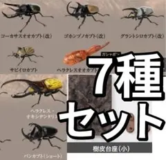 オンライン限定いきもの大図鑑 かぶとむし０９、１０樹皮台座（小）付き 7種セット